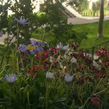 Apartman Barila