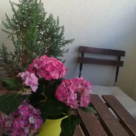 Apartman Barila 아파트
